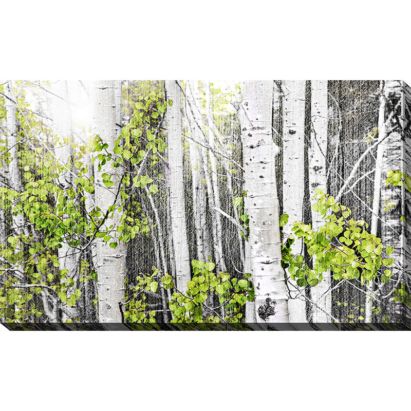 « aspens 1 », reproduction de photo sur toile tendue, H 28 po x l 48 po x P 1,5 po