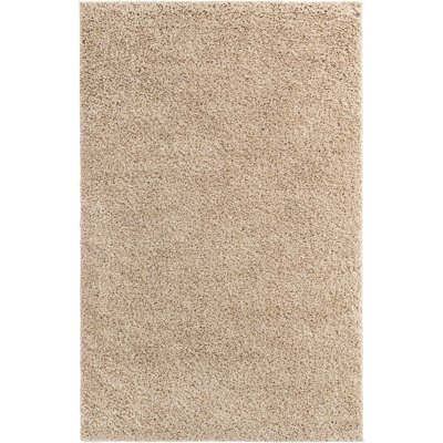 Indoor Rug