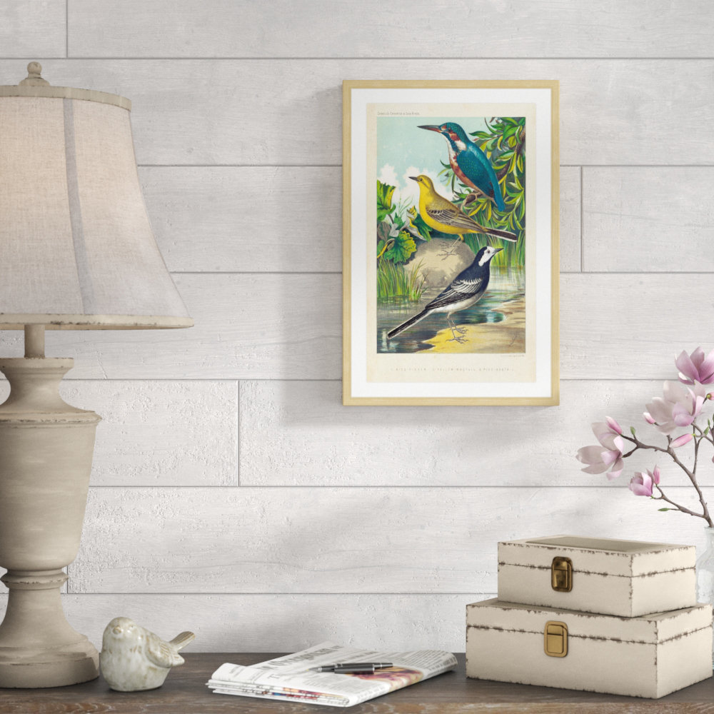 'Kingfisher & Wagtail' Framed Painting Print Alcott Hill® 
