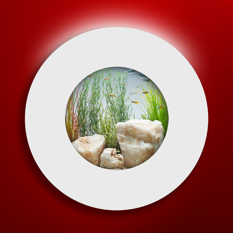 Aquarium rond 3 gallons Angelica, Blanc mat