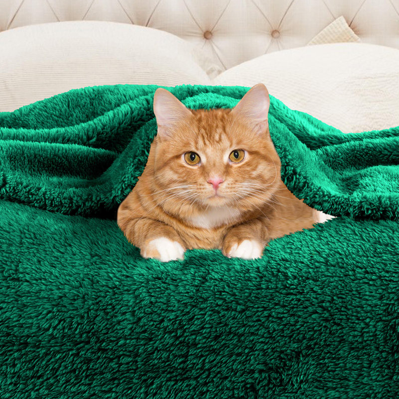 Evergreen Plush Fleece Reversible Throw Blanket
