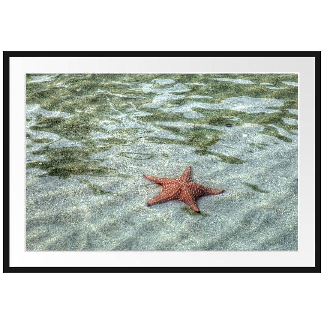 Gerahmtes Poster Seestern im klaren Wasser