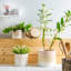 Nicola Spring - Reactive Glaze Plant Pots-63880890-63880893