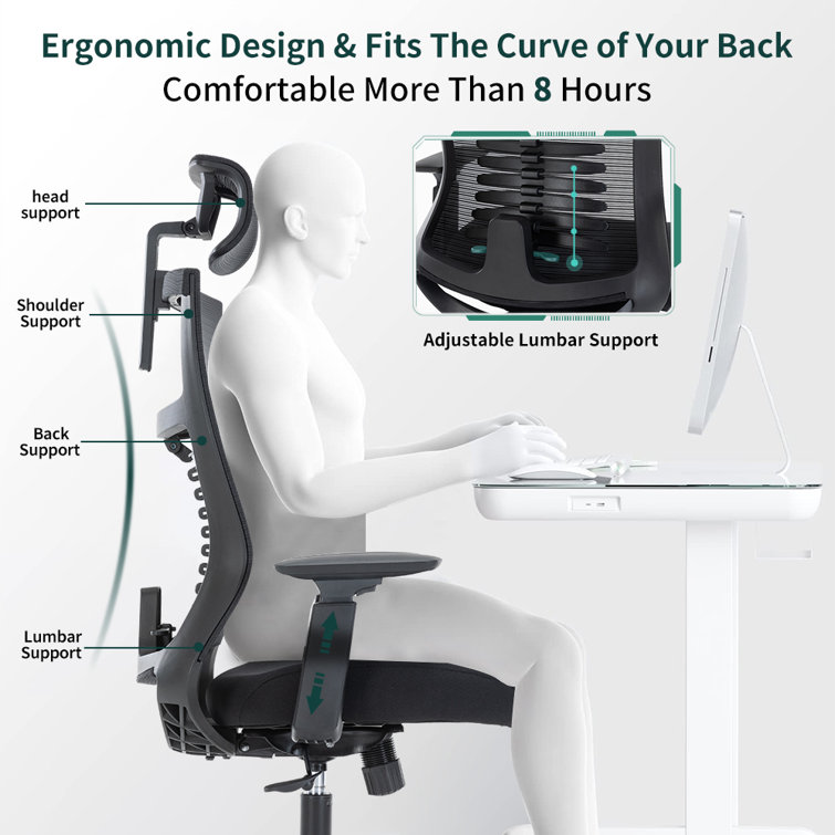 Inbox Zero Hristos Home Office Chair, 400LBS Big and Tall Heavy Duty  Design, Ergonomic High Back Cushion Lumbar Back Support & Reviews