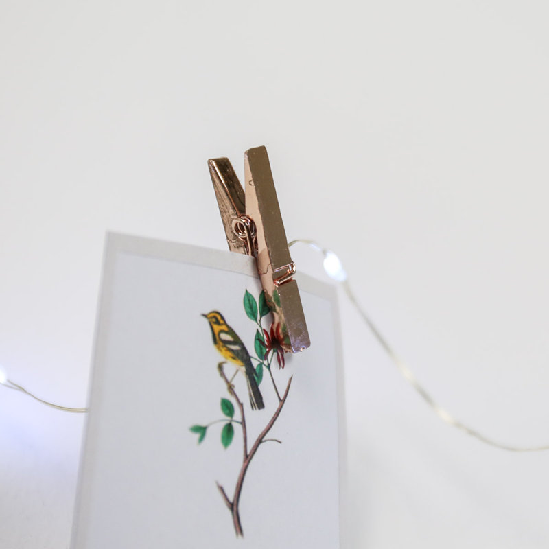 Willey 190cm LED Battery Powered 20 - Bulb Fairy String Light, White