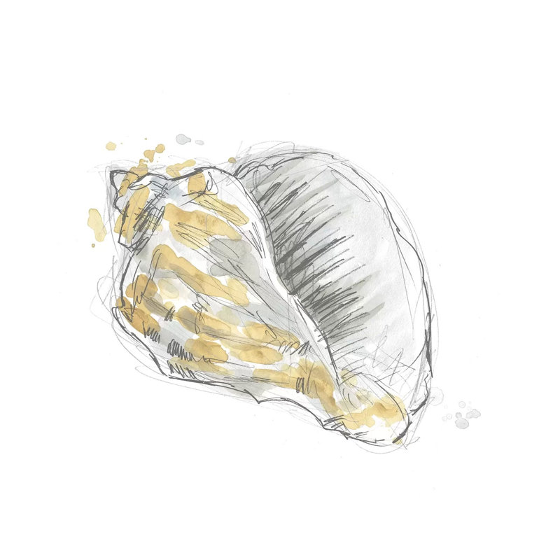 Citron Shell Sketch III by June Erica Vess - Wrapped Canvas Gallery-Wrapped Canvas Giclée, 45.72 cm H x 45.72 cm W