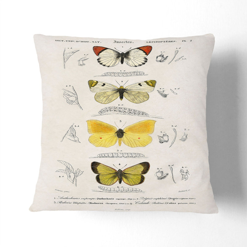 Square Throw Cushion, 40cm H x 40cm W x 15cm D, Black