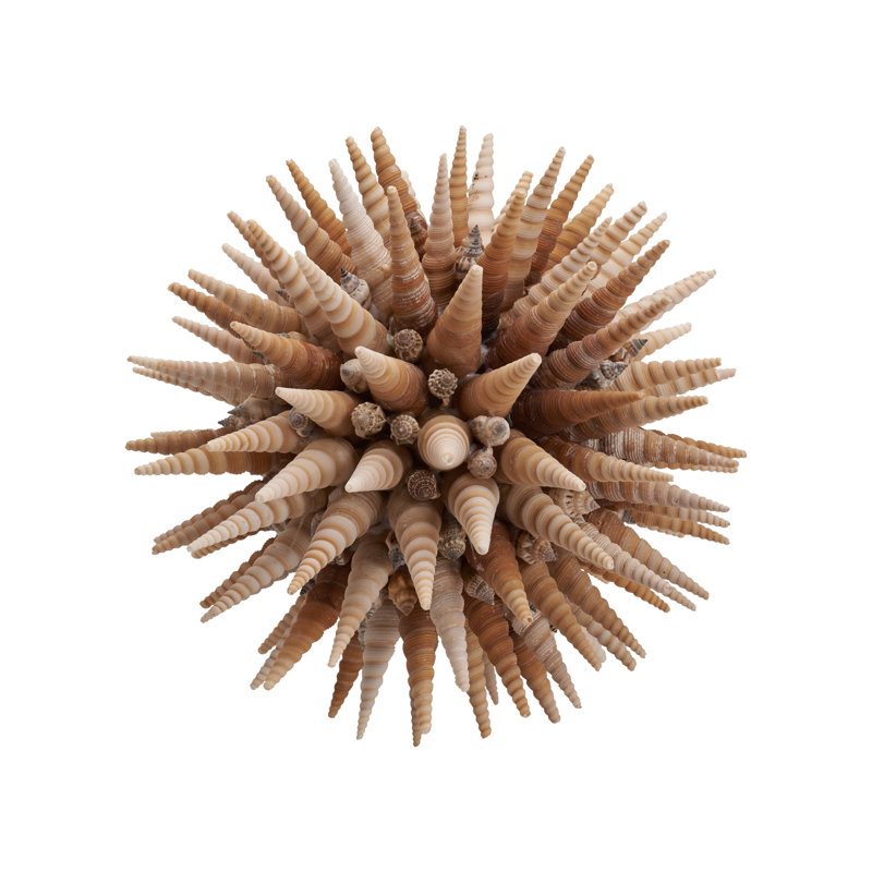 Marlin Shell Ball (LG)