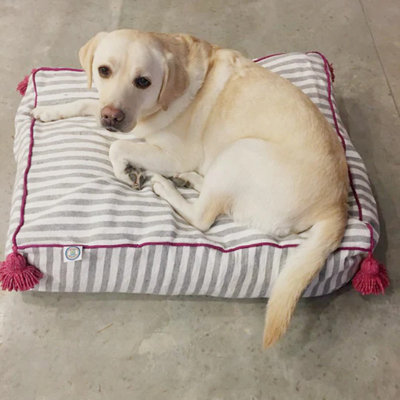 Striped Pet Bed