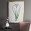 Toile encadrée de qualité supérieure Rose Botanical II - prête à être accrochée-340619365-340619364