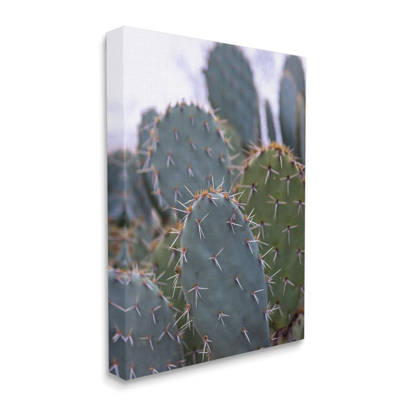 «Prickly Cactus Thorns» par Jeff Poe, reproduction d'art sur toile tendue, H 40 po x l 30 po x P 1,5 po