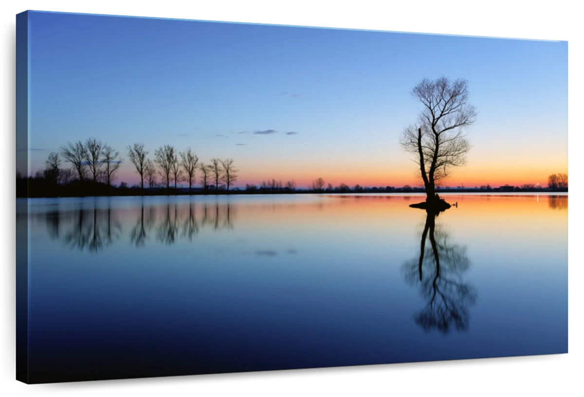 Millwood Pines Alvord Lake Tree Silhouette | Wayfair
