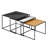 Emiliana Glass Top End Table Set End Table