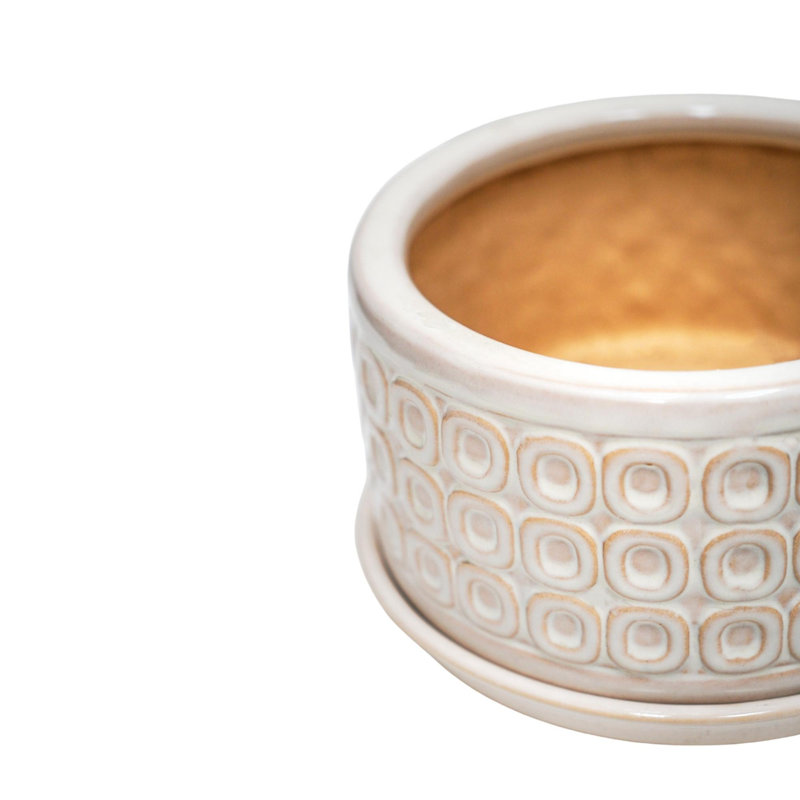 Glazed Bonsai Planter with Saucer, Cream