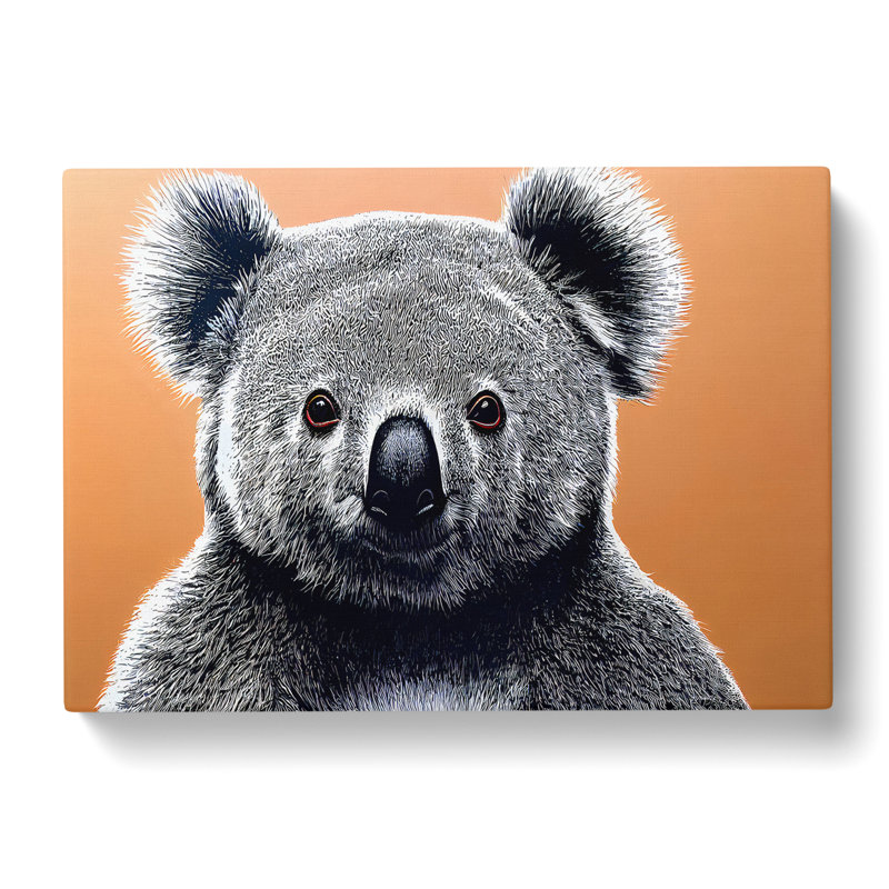 The Koala Bear - Wrapped Canvas, 50cm H x 76cm W x 3cm D