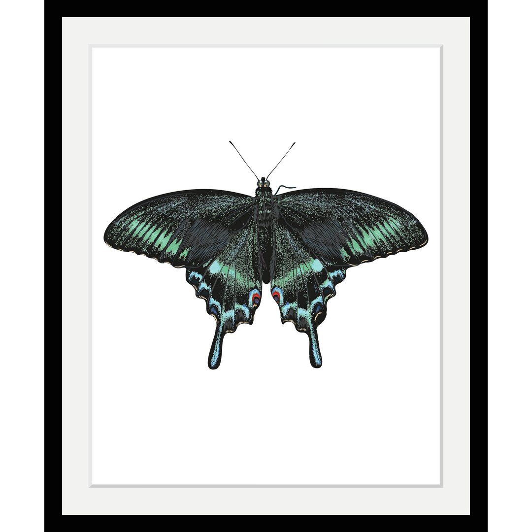 Gerahmter Grafikdruck Butterfly