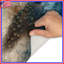 Tapis de bain paon sur fond abstrait-354473937