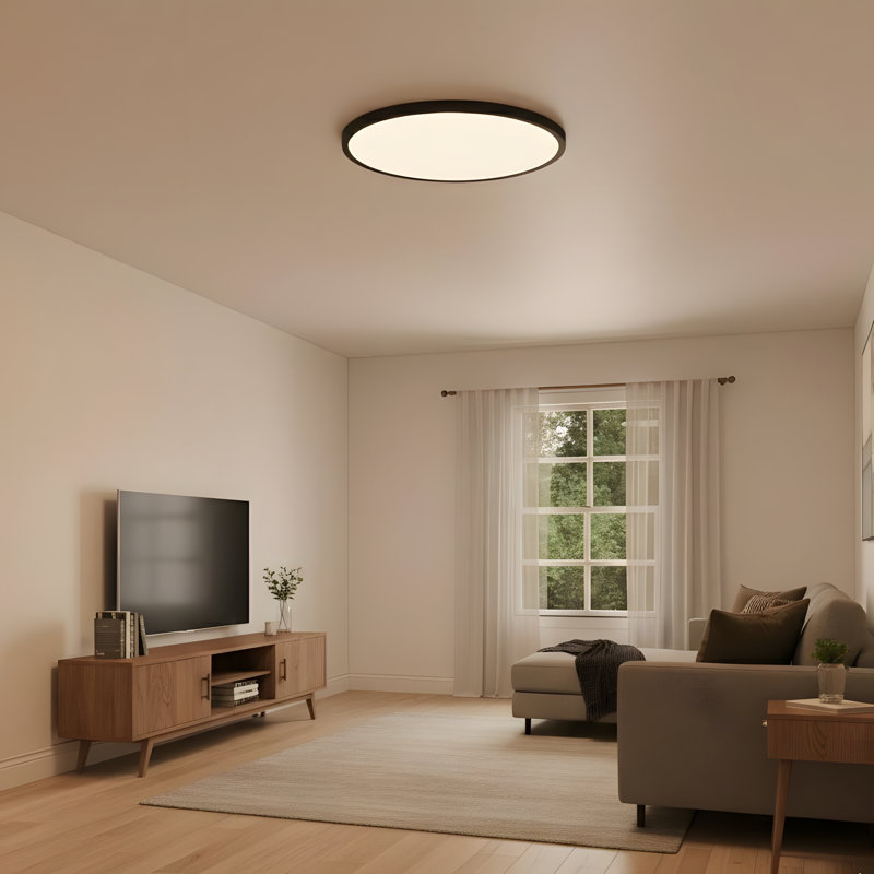 4 PACK Flush Mount LED Ceiling Light Fixture Black, 16Inch 32Watt, Dimmable & 5 Color Selectable Ceiling Lamp 3520LM Low Profile Ceiling Light for Kitchen Bedroom Hallway Porch