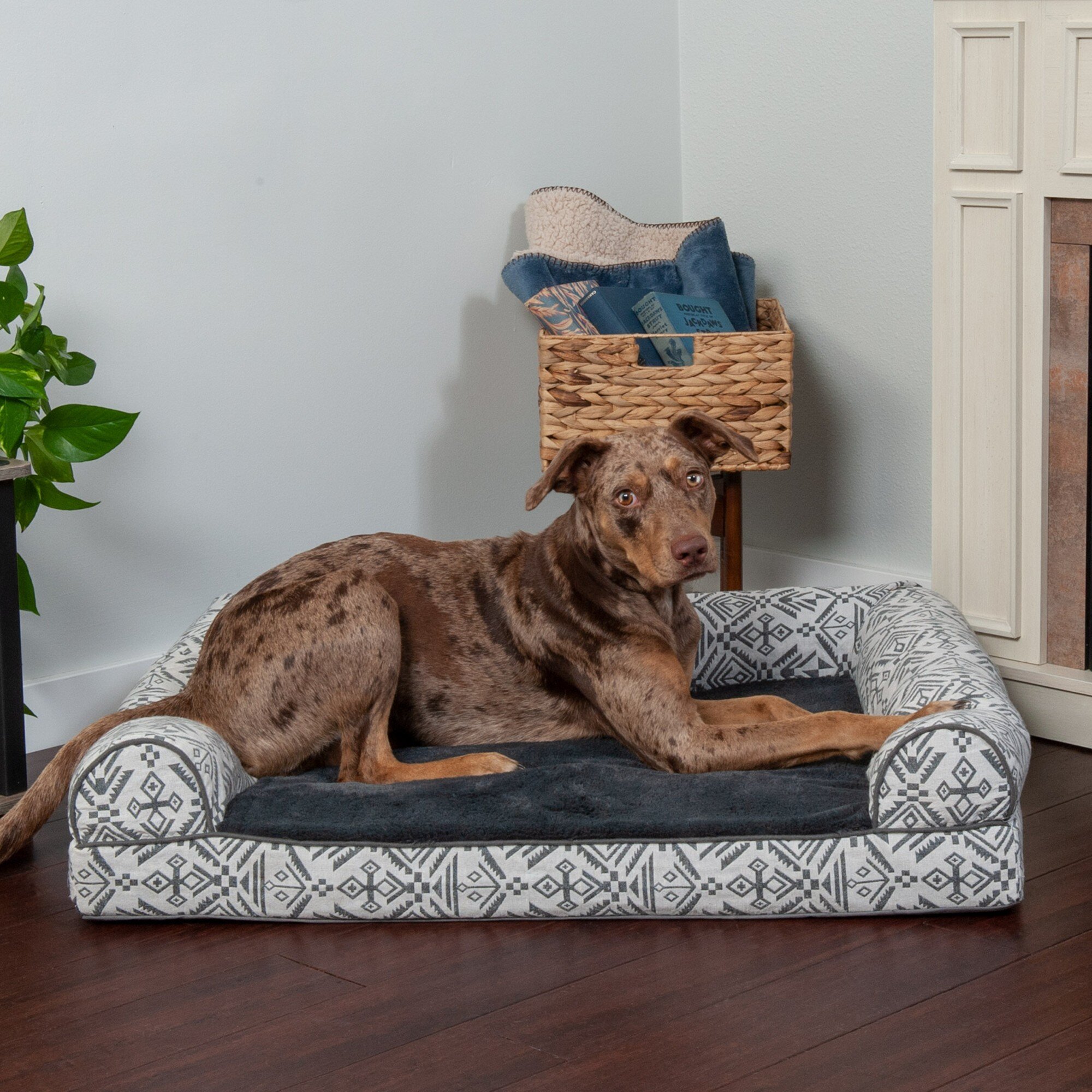 FurHaven Orthopedic Polyester Pet Bed & Reviews | Wayfair