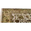 Wool Oriental Area Rug