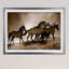 Chevaux sauvages - reproduction de cadre photo-31992063-33960039