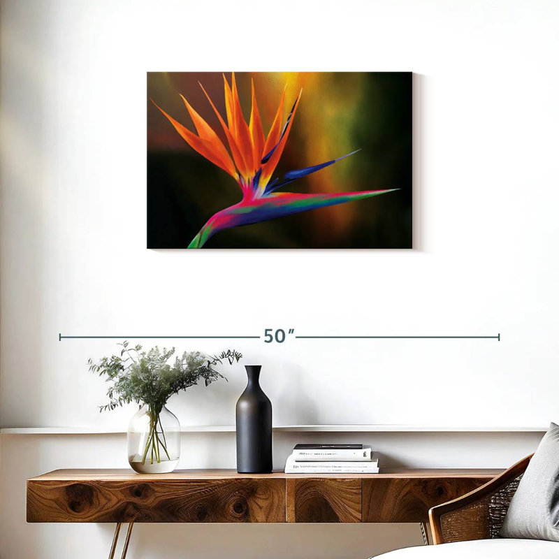 Strelitzia Harnek Delightful, H 20 po x l 30 po