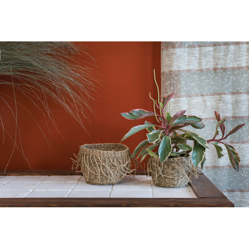 Panier en ruppie maritime