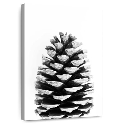 Cône de pin Harnek BW