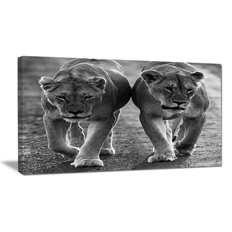 Photographie "lions en noir et blanc" à l’animal, H 8 po x l 12 po x P 1 po, Toile tendue