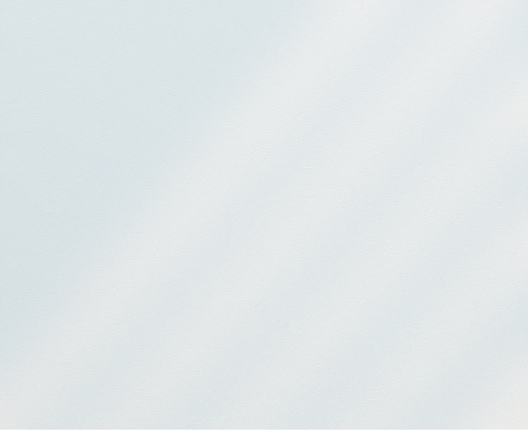 WallPops! Transparent Film Window Decal & Reviews | Wayfair