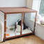Chenil pour animaux en verre trempé innovant-1306434875-1306434870
