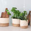 Ensemble de 3 paniers en ruppie maritime