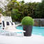 24 " H Faux Boxwood Hedge