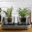 Roots Handmade Glass Planter