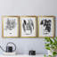 B&W d'intérieur plante IV - ensemble de 3 peintures sur toile encadrées-524709916-524709918