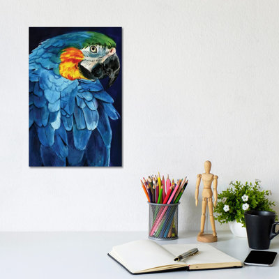 Blue Macaw by Rachel Parker - Wrapped Canvas Gallery-Wrapped Canvas Giclée