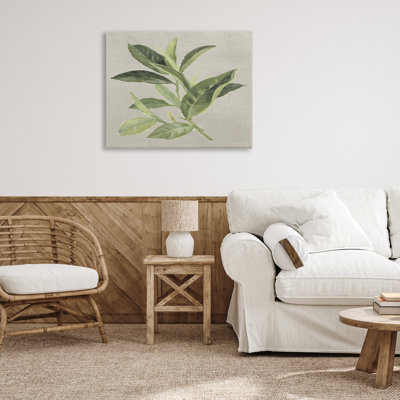 «Green Tea Plant Leaf», conception par Lanie Loreth