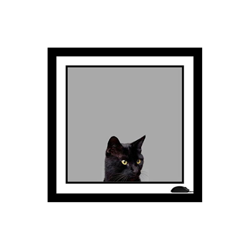« chat et souris », reproduction de photo encadrée