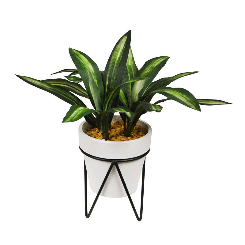 Plante artificielle 5 po avec support en métal Dracaena