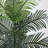 Villegas 72 " H Faux Palm Tree in Plastic Planter