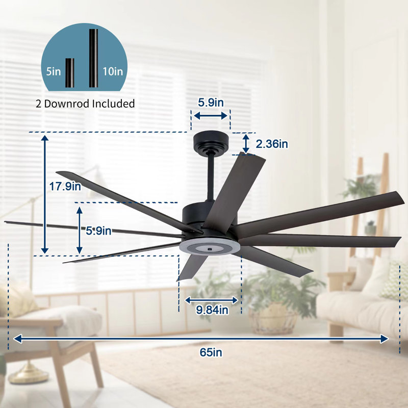 Carlinda 65'' Ceiling Fan with LED Lights