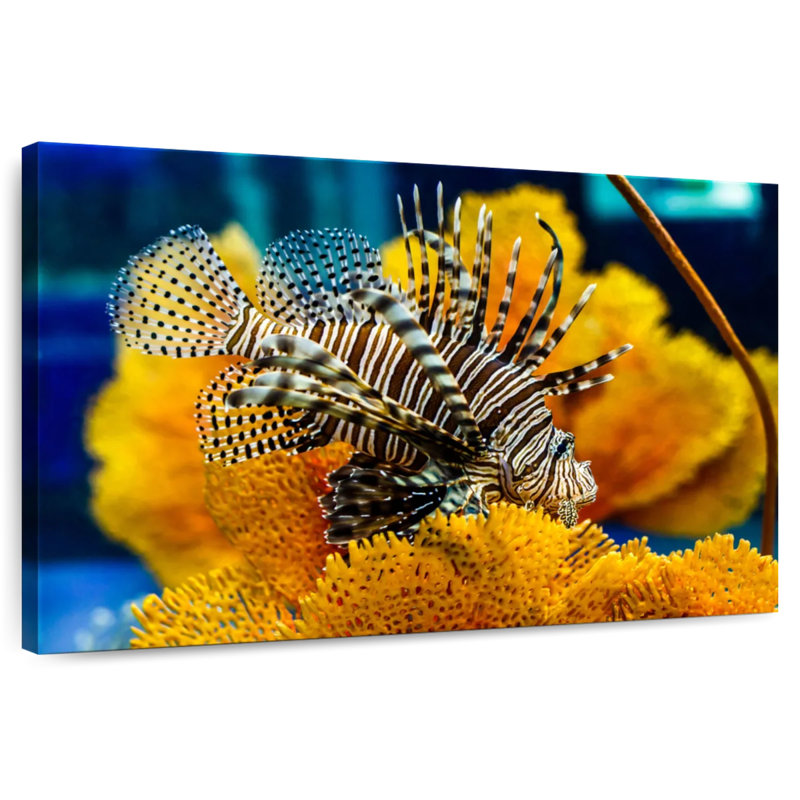 Brampt Saltwater Fish, 34" H x 51" W