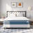 Neche Medium Hybrid Mattress-66802818-66802822