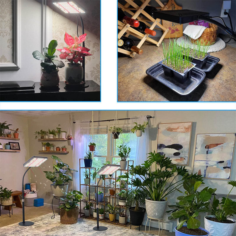Maker Network Grow Light