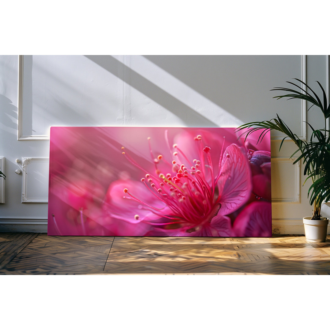 Wandbild 120x60cm Blume Blüte Rosa Nahaufnahme Natur Makro