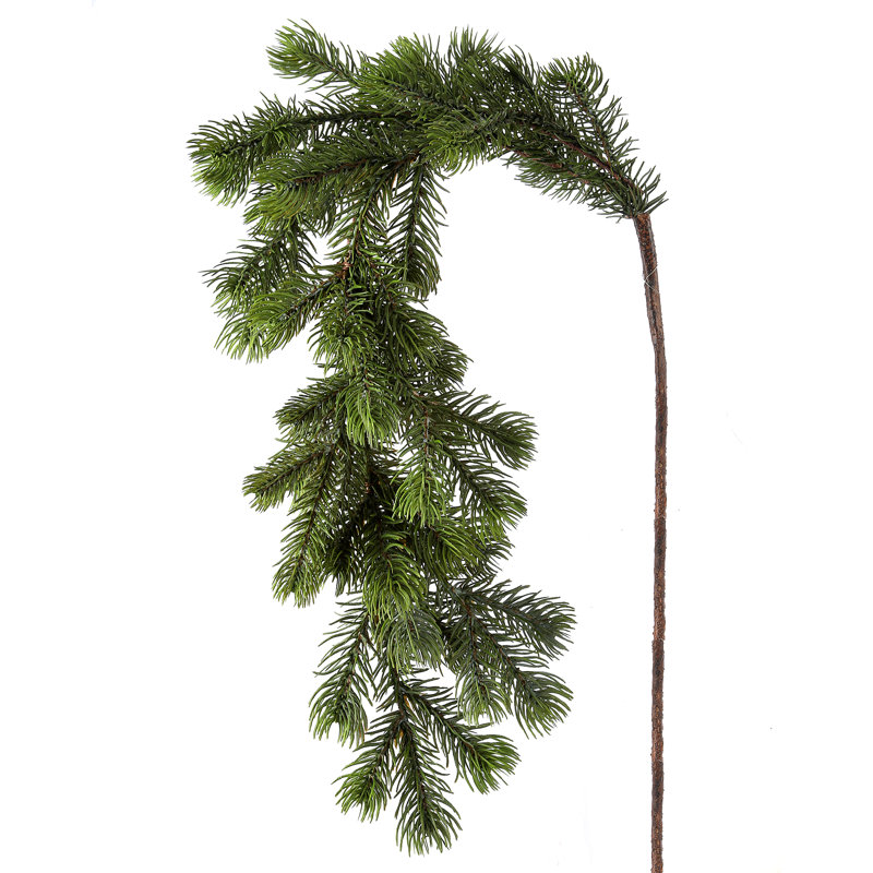 Choix de branches de pin délavé natursimilaires