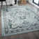 Dorsett Oriental Indoor Rug