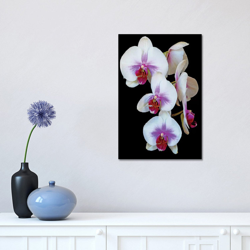 Orchids 1 Piece Wrapped Canvas Wall Art, 45.72cm H x 30.48cm W