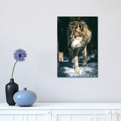 Wolf Looking 1 Piece Wrapped Canvas Wall Art
