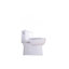 Toilette allongée une pièce 1,28 GPF Tornado Flush